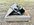 IMG_6719.jpeg