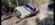 IMG_9824.png