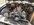 78B6A2BA-0FBC-4783-B3AB-55405BDA7FD8.jpeg