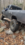C935229E-886A-4D64-ABFB-6F96466E5694.png C935229E-886A-4D64-ABFB-6F96466E5694.png