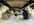 IMG_6768.jpeg