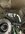 IMG_0026.jpeg