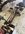 IMG_6874.jpeg