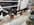 IMG_7675.jpeg