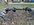 IMG_7661.jpeg