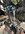 IMG_2928.jpeg