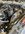 IMG_1563.jpeg