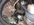 76EC8D2C-5ACE-43F3-8B80-9288E30B1864.jpeg