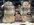 IMG_0040.jpeg