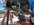 IMG_2937.jpeg