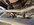 IMG_2934.jpeg