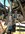 IMG_2942.jpeg