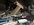 IMG_2306.jpeg