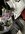 IMG_1433.jpeg