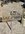 IMG_20240112_135703_Bokeh.jpg