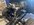 IMG_3409.jpeg
