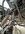 IMG_2986.jpeg