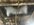 IMG_0085.jpeg