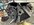 IMG_5186.jpeg