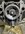 IMG_5187.jpeg