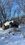 IMG_4178.jpeg