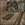 1706050348503.png