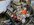 9CD1BCEA-AC37-43C6-9D04-EDEEB112E014.jpeg