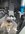 IMG_7223.jpeg