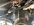 IMG_7147.jpeg