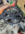 1706273317991.png