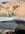 IMG_2503.jpeg