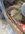 IMG_3164.jpeg