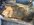 IMG_3165.jpeg
