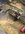 IMG_3167.jpeg