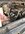IMG_4443.jpeg