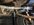 IMG_4467.jpeg
