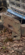 IMG_0198.png