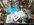 IMG_4280.jpeg