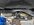 IMG_7332.jpeg