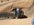 IMG_3639.jpeg