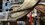 IMG_6918.JPEG