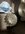 IMG_7708.jpeg