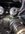 IMG_5366.jpeg