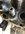 IMG_5364.jpeg