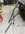 IMG_2350.jpeg