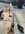IMG_2365.jpeg