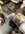 IMG_1747.jpeg