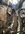 IMG_1748.jpeg