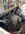 IMG_1751.jpeg