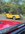 IMG_3072.jpeg
